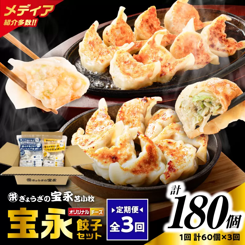 【全3回定期便（毎月）】チーズ餃子セット（宝永餃子 15個入×2袋＆チーズ餃子 15個入×2袋）合計1.5kg