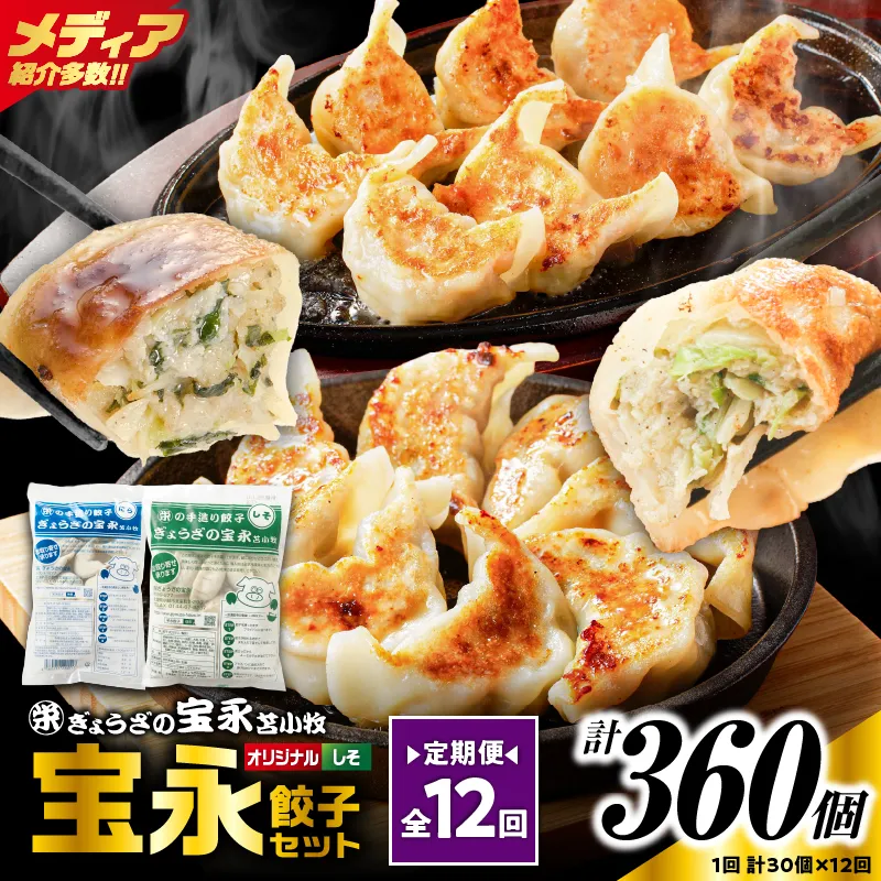 【定期便・全12回 毎月】手包み餃子 ぎょうざの宝永 しそ餃子30個セット（宝永餃子15個入×1袋・しそ餃子15個入×1袋）