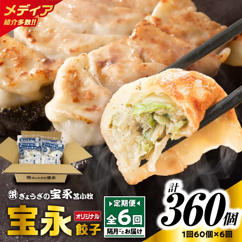 【全6回定期便（隔月）】ぎょうざの宝永 宝永餃子 15個入セット（宝永餃子15個入×4袋）合計1.5kg