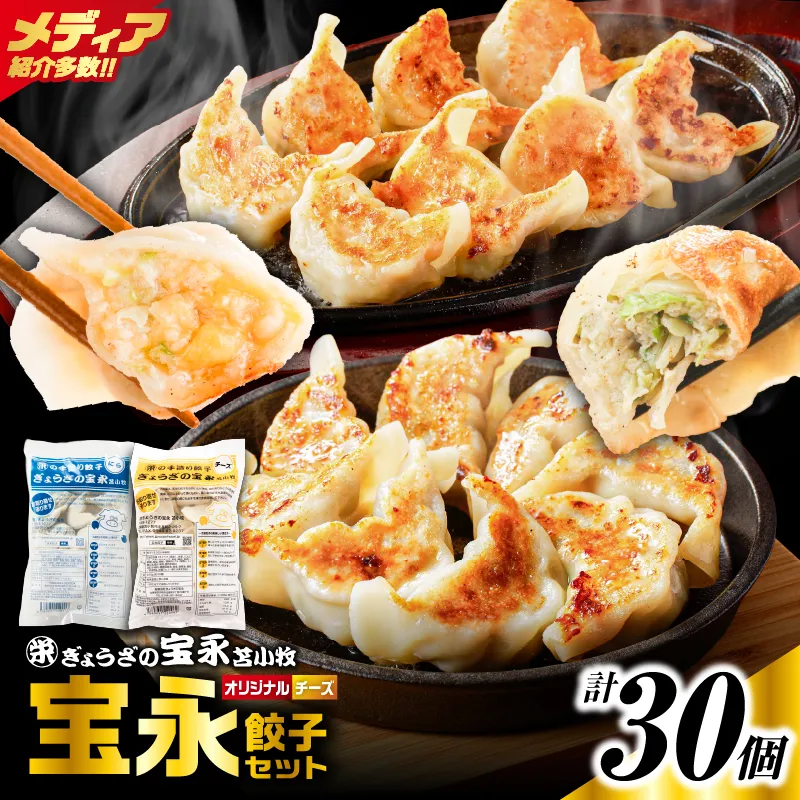 手包み餃子 ぎょうざの宝永 チーズ餃子30個セット(宝永餃子15個入×1袋・チーズ餃子15個入×1袋)