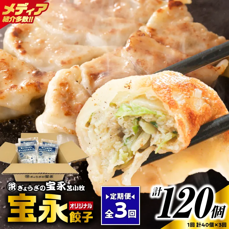 【定期便・全3回 毎月】手包み餃子 ぎょうざの宝永 宝永餃子40個セット(宝永餃子10個入×4袋)