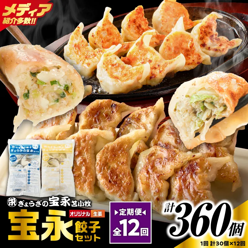 【定期便・全12回 毎月】手包み餃子 ぎょうざの宝永 生姜餃子30個セット（宝永餃子15個入×1袋・生姜餃子15個入×1袋）