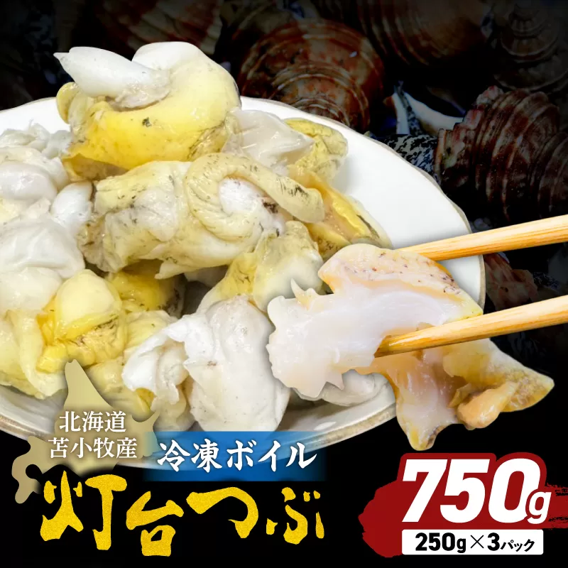 北海道苫小牧産 冷凍ボイル灯台つぶ（3パック入）