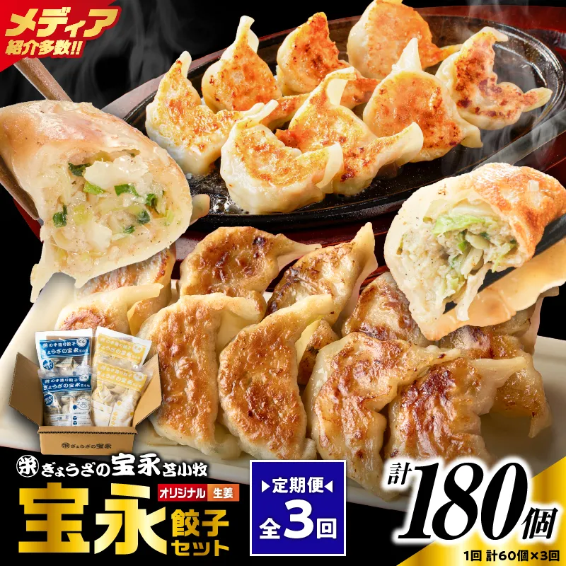 【定期便・全3回 毎月】手包み餃子 ぎょうざの宝永 生姜餃子60個セット（宝永餃子15個入×2袋・生姜餃子15個入×2袋）