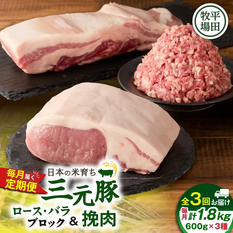 【全3回 毎月定期便】日本の米育ち平田牧場三元豚バラブロック 600g・豚ロースブロック 600g・豚挽肉 600g