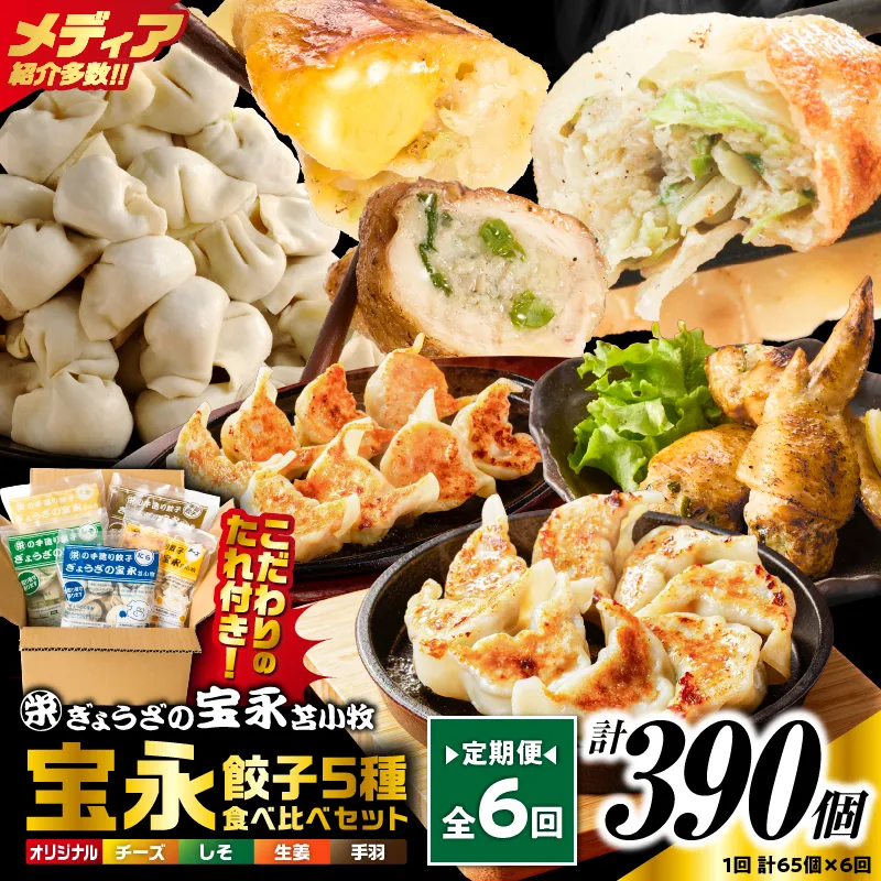 【定期便・全6回 毎月】手包み餃子 ぎょうざの宝永 5種食べ比べセット（65個入）