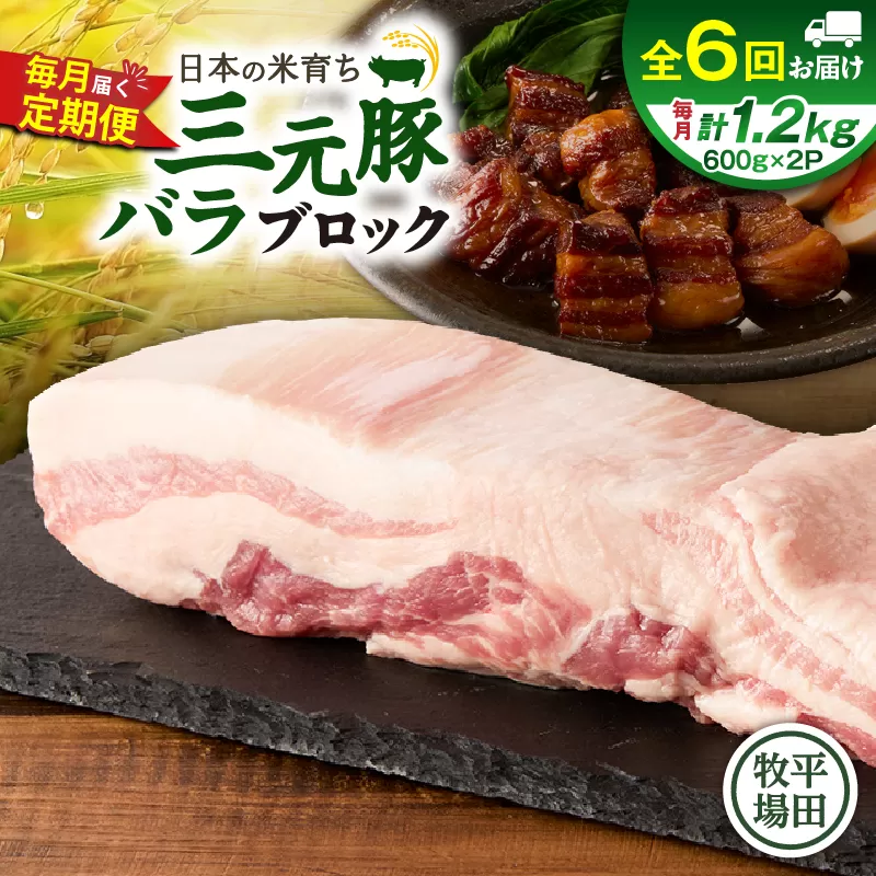 【全6回 毎月定期便】日本の米育ち平田牧場三元豚バラブロック 1.2kg