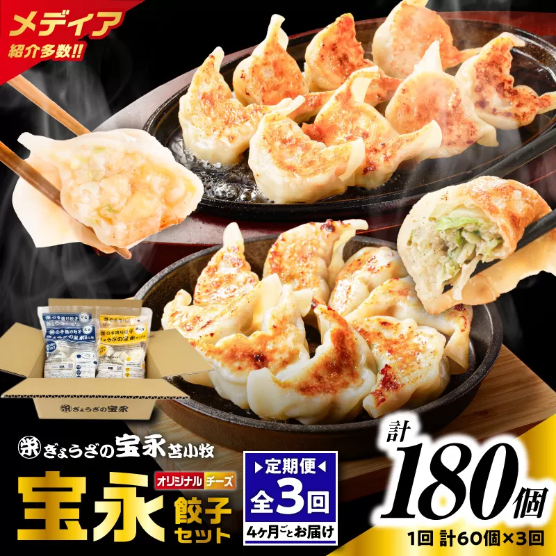 【全3回定期便（4ヶ月毎）】チーズ餃子セット（宝永餃子 15個入×2袋＆チーズ餃子 15個入×2袋）合計1.5kg