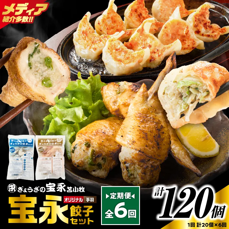 【定期便・全6回 毎月】手包み餃子 ぎょうざの宝永 手羽餃子20個セット（宝永餃子15個入×1袋・手羽餃子5個入×1袋）