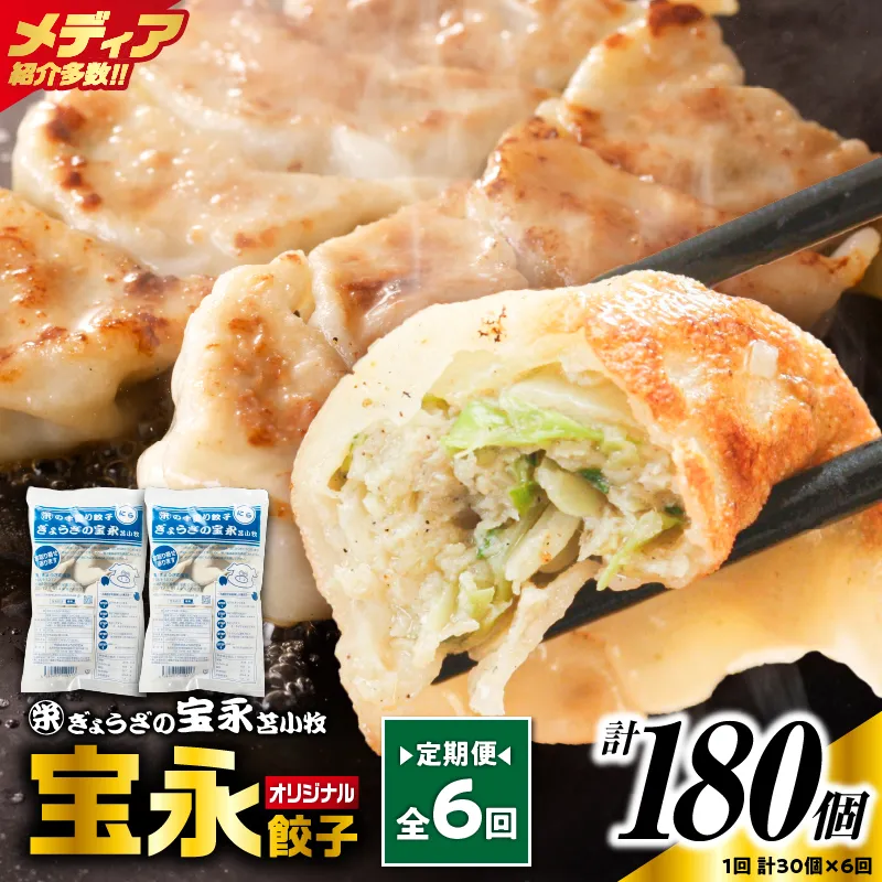 【定期便・全6回 毎月】手包み餃子 ぎょうざの宝永 宝永餃子30個セット(宝永餃子15個入×2袋)