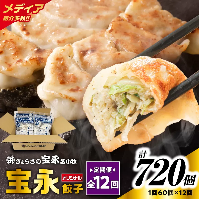 【全12回定期便（毎月）】ぎょうざの宝永 宝永餃子 15個入セット（宝永餃子15個入×4袋）合計1.5kg