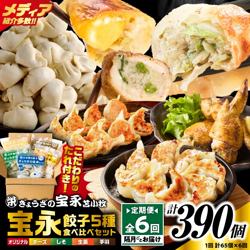 【定期便・全6回 隔月】手包み餃子 ぎょうざの宝永 5種食べ比べセット（65個入）