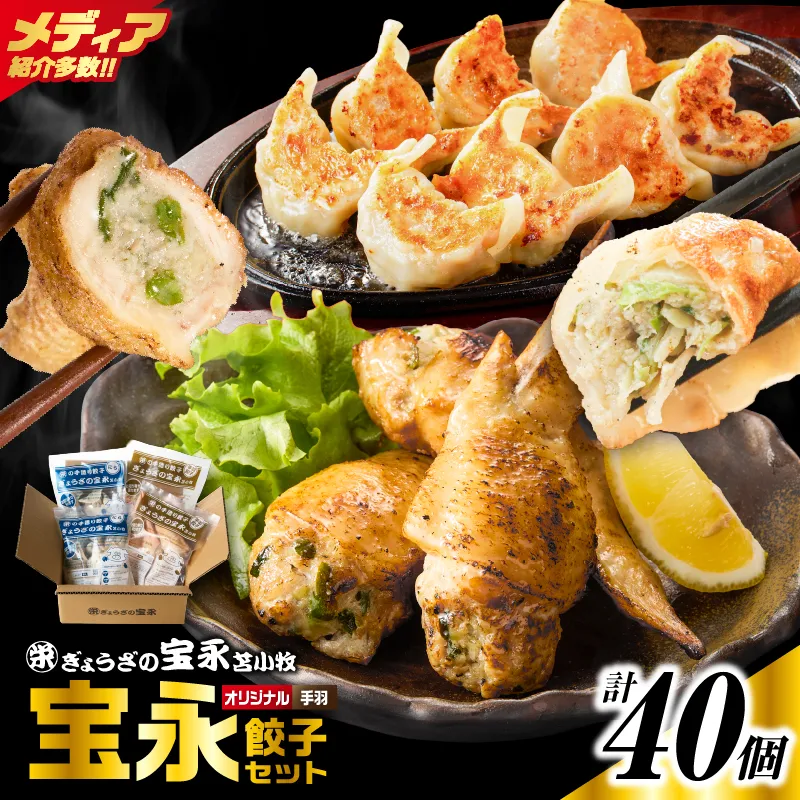 手包み餃子 ぎょうざの宝永 手羽餃子40個セット（宝永餃子15個入×2袋・手羽餃子5個入×2袋）