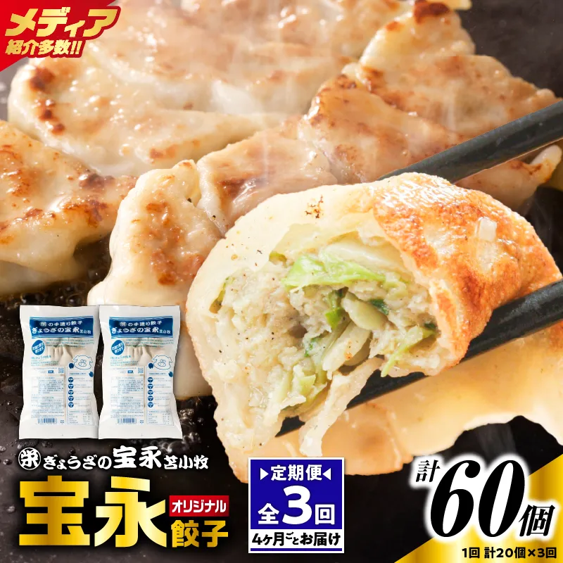 【定期便・全3回 4ヶ月毎】手包み餃子 ぎょうざの宝永 宝永餃子20個セット(宝永餃子10個入×2袋)