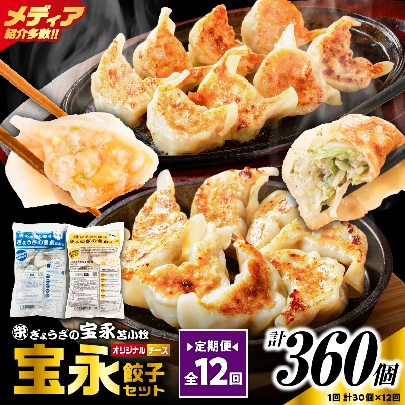 【定期便・全12回 毎月】手包み餃子 ぎょうざの宝永 チーズ餃子30個セット（宝永餃子15個入×1袋・チーズ餃子15個入×1袋）