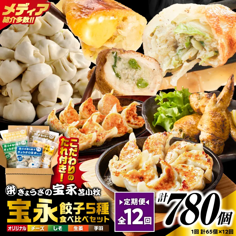 【定期便・全12回 毎月】手包み餃子 ぎょうざの宝永 5種食べ比べセット（65個入）