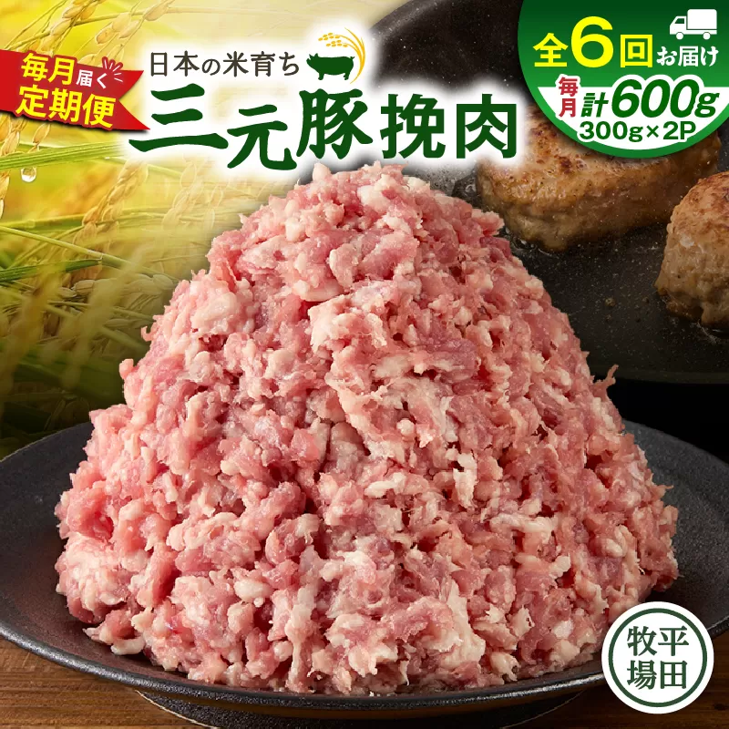 【全6回 毎月定期便】日本の米育ち平田牧場三元豚ひき肉 600g