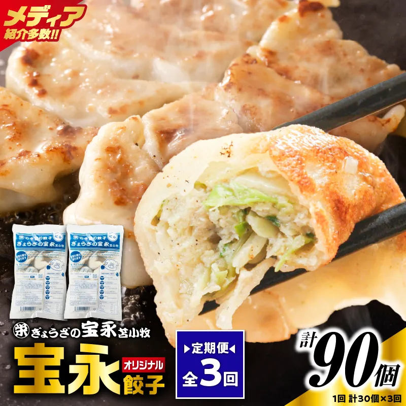 【定期便・全3回 毎月】手包み餃子 ぎょうざの宝永 宝永餃子30個セット（宝永餃子15個入×2袋）