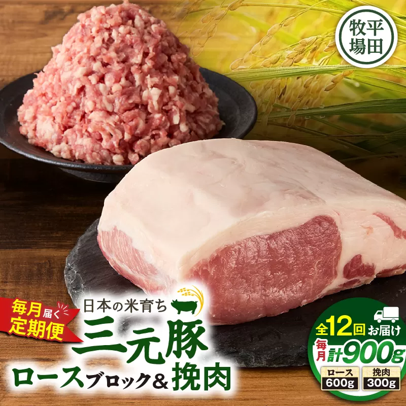【全12回 毎月定期便】日本の米育ち平田牧場三元豚ロースブロック 600g・三元豚挽肉 300g