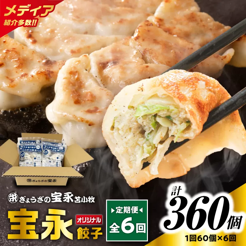 【全6回定期便（毎月）】ぎょうざの宝永 宝永餃子 15個入セット（宝永餃子15個入×4袋）合計1.5kg