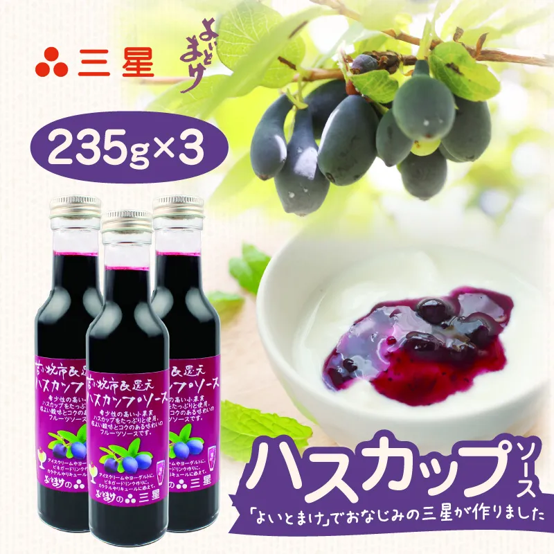 カナダ産 市民還元ハスカップソース 235g（3瓶）