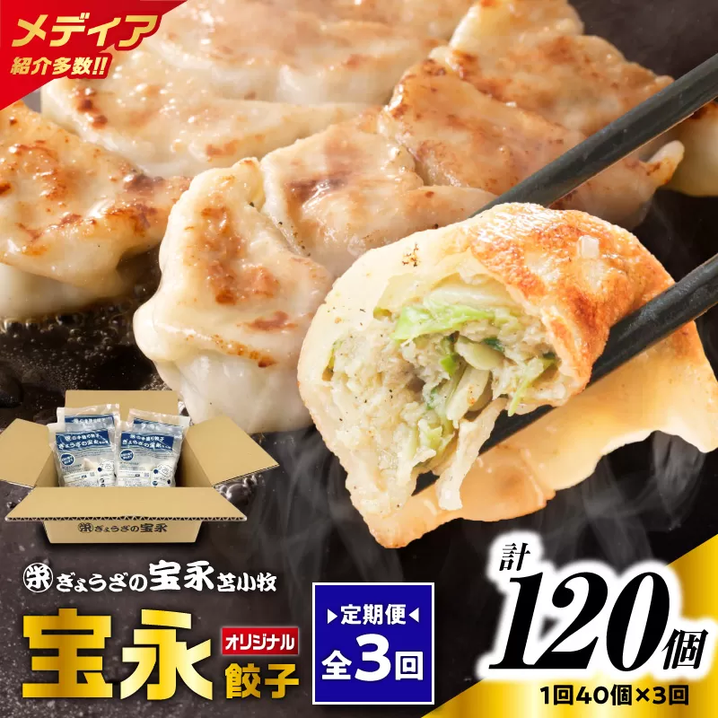 【全3回定期便（毎月）】宝永餃子10個入セット（宝永餃子10個入×4袋）合計1.0kg