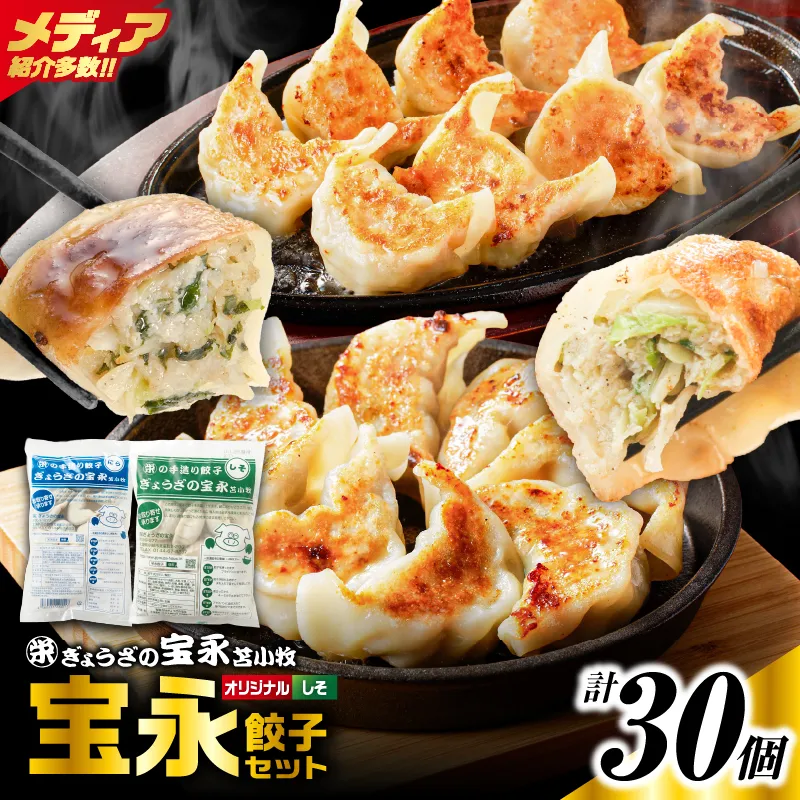 手包み餃子 ぎょうざの宝永 しそ餃子30個セット(宝永餃子15個入×1袋・しそ餃子15個入×1袋)