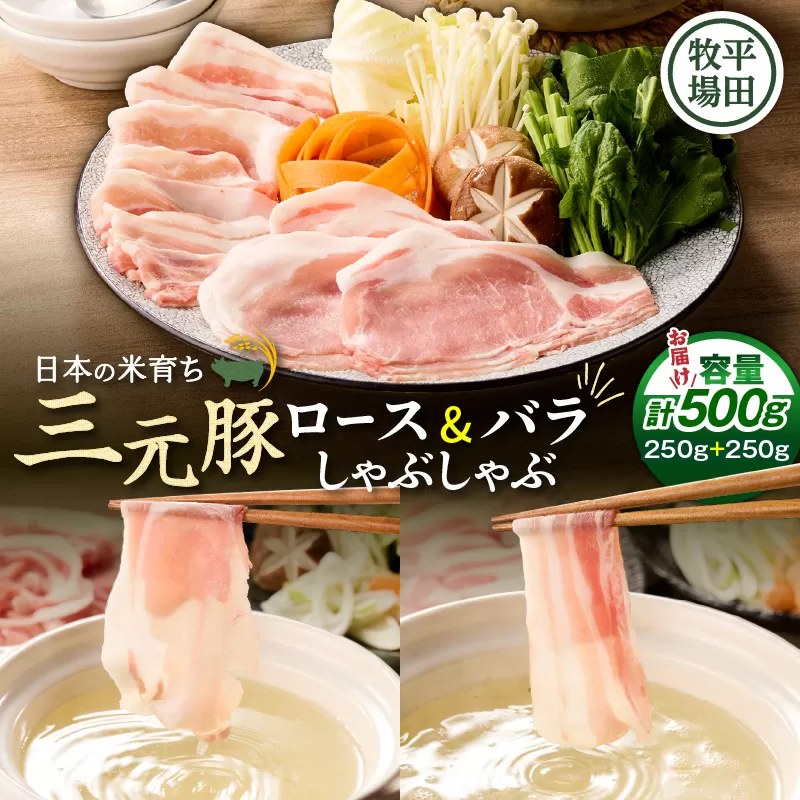 日本の米育ち平田牧場 三元豚ロース・バラしゃぶしゃぶ　各250g（計500g）