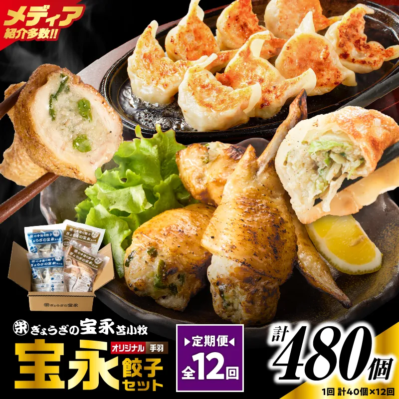【定期便・全12回 毎月】手包み餃子 ぎょうざの宝永 手羽餃子40個セット（宝永餃子15個入×2袋・手羽餃子5個入×2袋）