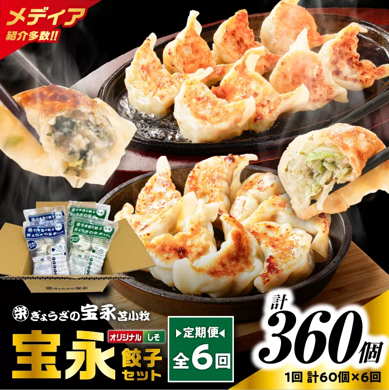 【全6回定期便（毎月）】ぎょうざの宝永 しそ餃子セット（宝永餃子 15個入×2袋＆しそ餃子 15個入×2袋）合計1.5kg