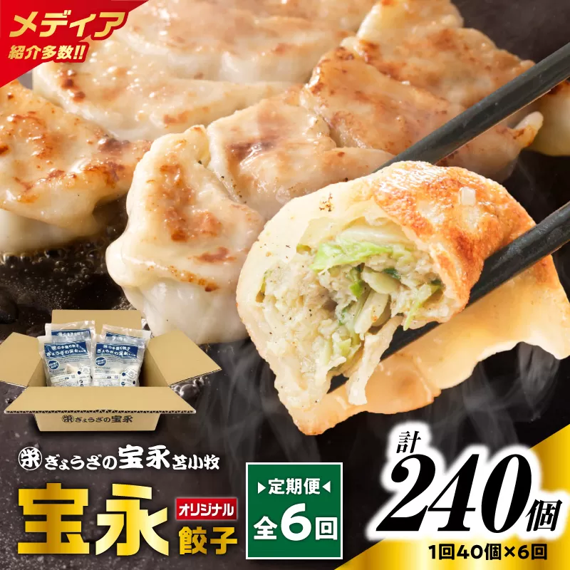 【全6回定期便（毎月）】宝永餃子10個入セット（宝永餃子10個入×4袋）合計1.0kg
