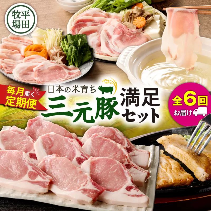 【全6回 毎月定期便】日本の米育ち平田牧場の満足セット！