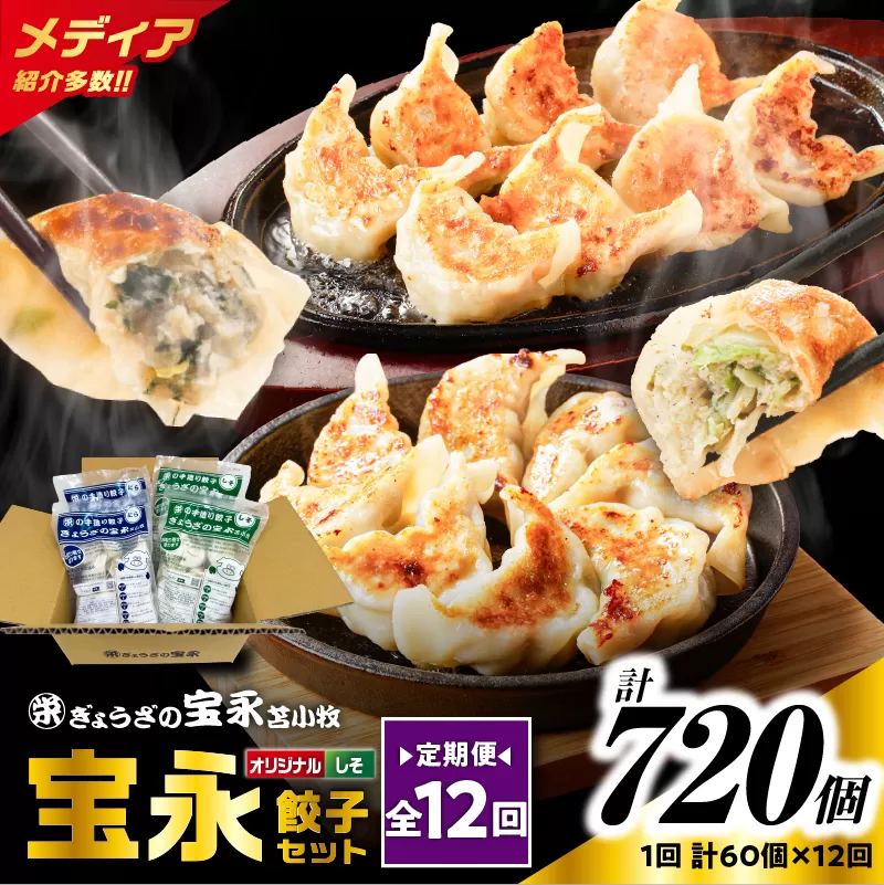 【全12回定期便（毎月）】ぎょうざの宝永 しそ餃子セット（宝永餃子 15個入×2袋＆しそ餃子 15個入×2袋）合計1.5kg