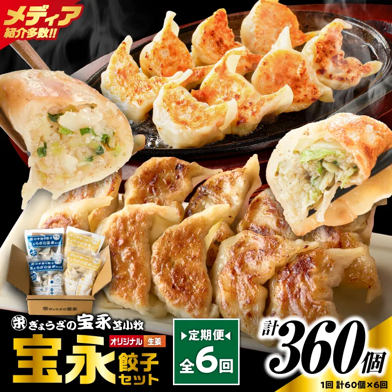 【定期便・全6回 毎月】手包み餃子 ぎょうざの宝永 生姜餃子60個セット（宝永餃子15個入×2袋・生姜餃子15個入×2袋）