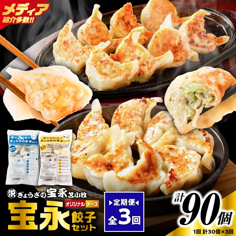 【定期便・全3回 毎月】手包み餃子 ぎょうざの宝永 チーズ餃子30個セット(宝永餃子15個入×1袋・チーズ餃子15個入×1袋)