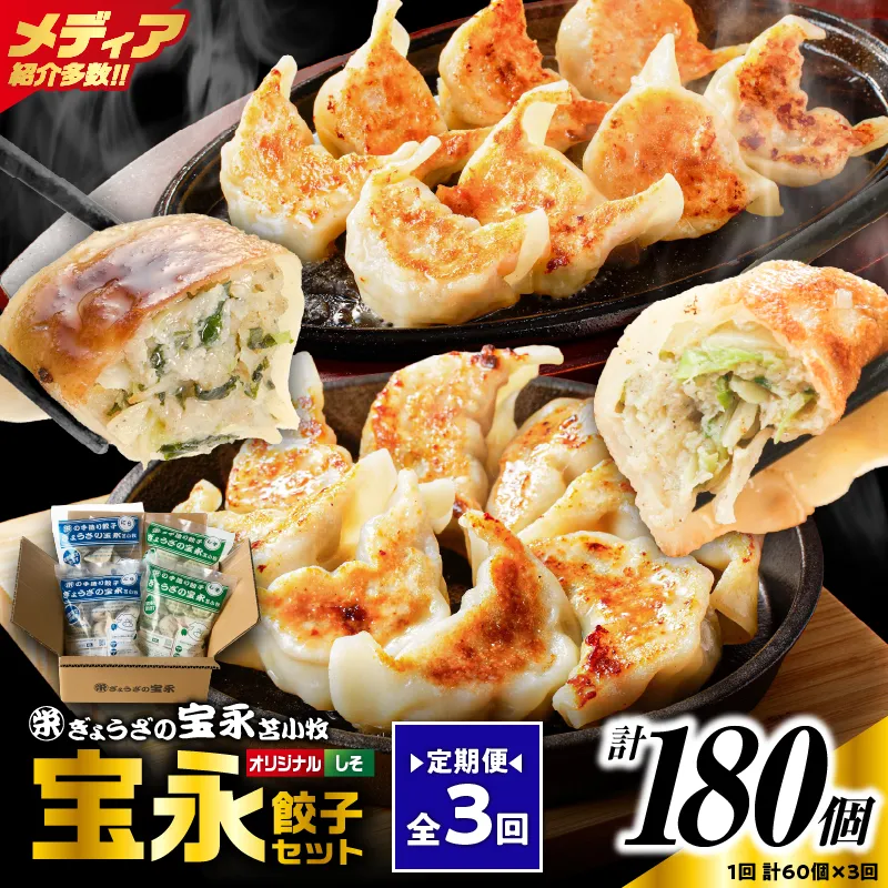 【定期便・全3回 毎月】手包み餃子 ぎょうざの宝永 しそ餃子60個セット(宝永餃子15個入×2袋・しそ餃子15個入×2袋)