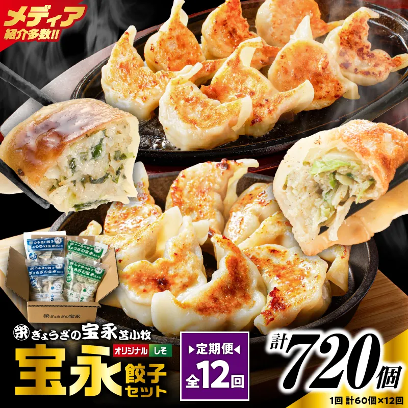 【定期便・全12回 毎月】手包み餃子 ぎょうざの宝永 しそ餃子60個セット（宝永餃子15個入×2袋・しそ餃子15個入×2袋）
