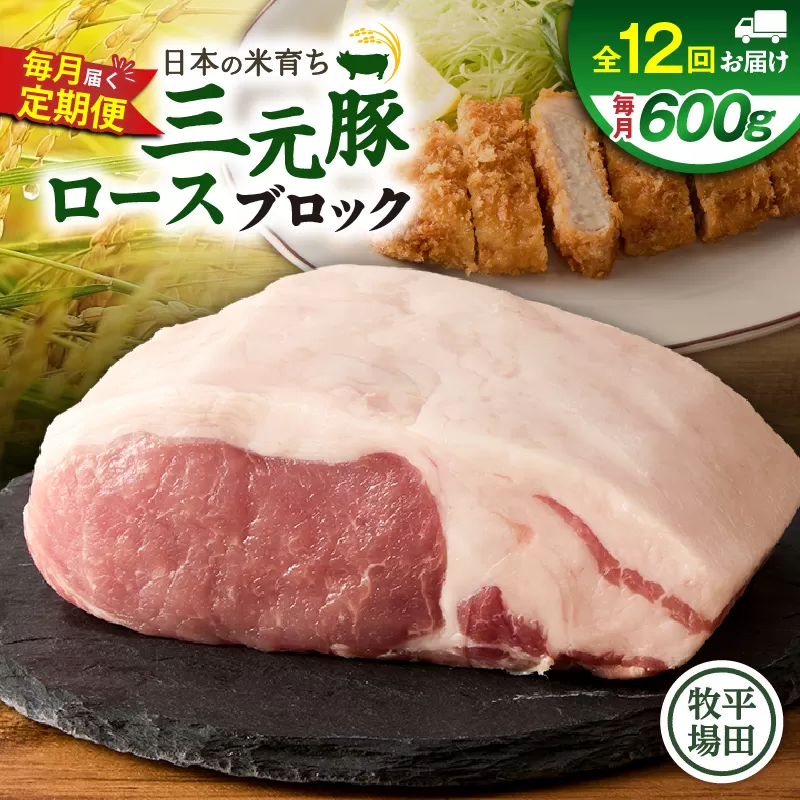 【全12回 毎月定期便】日本の米育ち平田牧場三元豚ロースブロック 600g