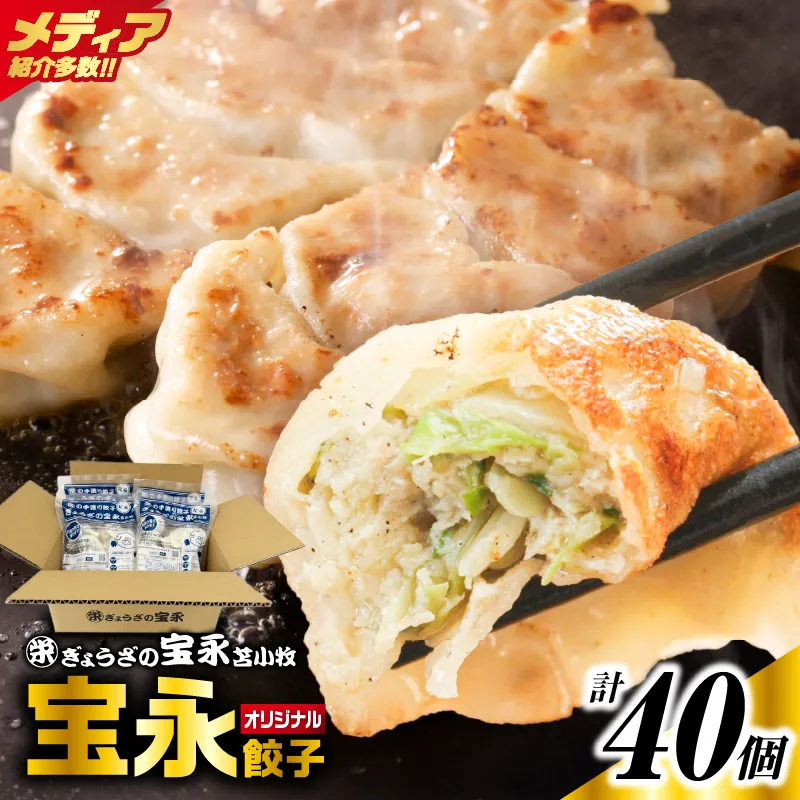 手包み餃子 ぎょうざの宝永 宝永餃子40個セット(宝永餃子10個入×4袋)