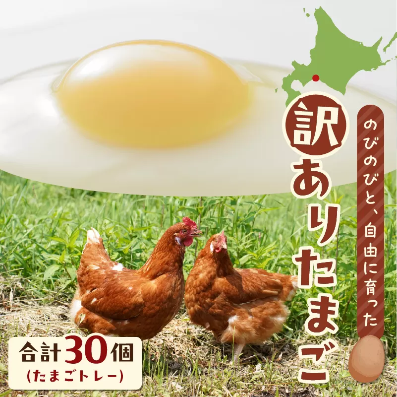 訳ありたまご　（たまごトレー）