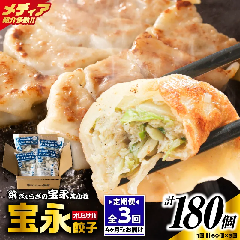 【定期便・全3回 4ヶ月毎】手包み餃子 ぎょうざの宝永 宝永餃子60個セット（宝永餃子15個入×4袋）