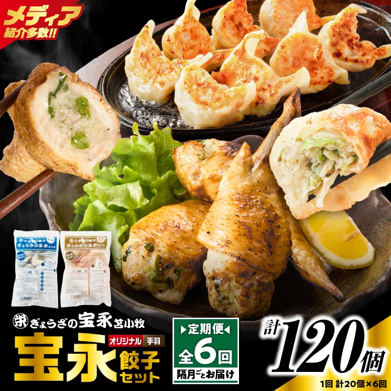 【定期便・全6回 隔月】手包み餃子 ぎょうざの宝永 手羽餃子20個セット(宝永餃子15個入×1袋・手羽餃子5個入×1袋)