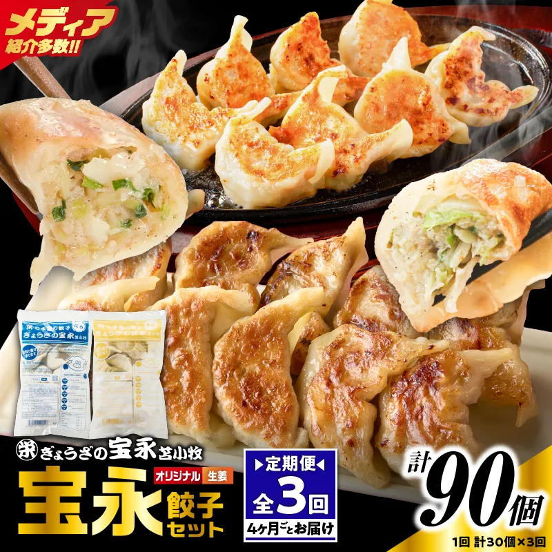 【定期便・全3回 4ヶ月毎】手包み餃子 ぎょうざの宝永 生姜餃子30個セット（宝永餃子15個入×1袋・生姜餃子15個入×1袋）