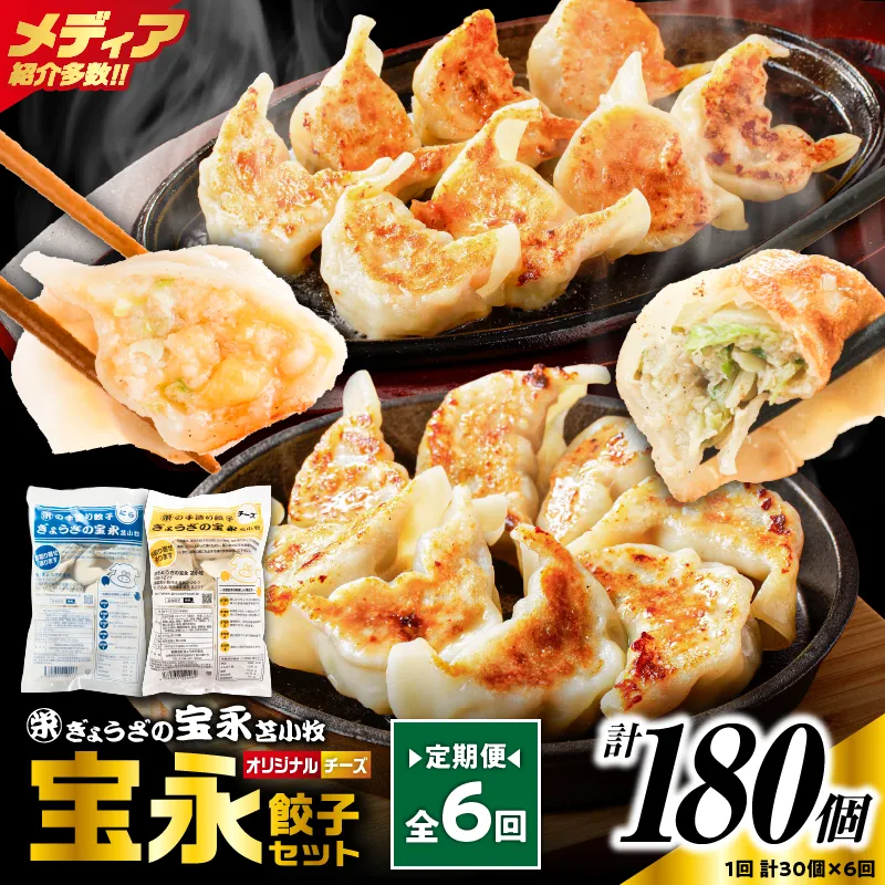【定期便・全6回 毎月】手包み餃子 ぎょうざの宝永 チーズ餃子30個セット(宝永餃子15個入×1袋・チーズ餃子15個入×1袋)