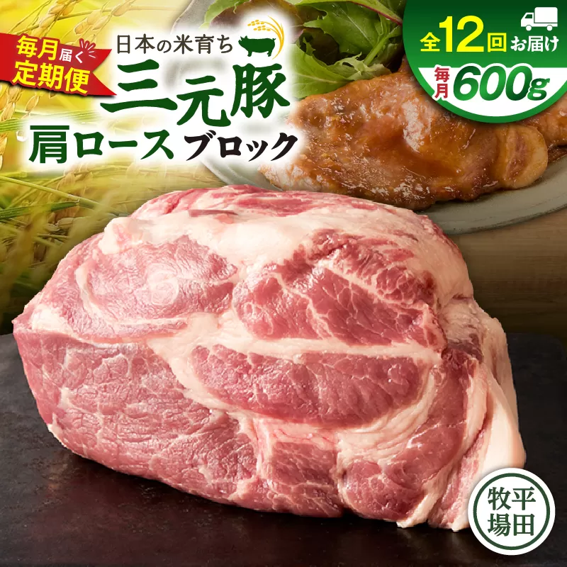 【全12回 毎月定期便】日本の米育ち平田牧場三元豚肩ロースブロック 600g