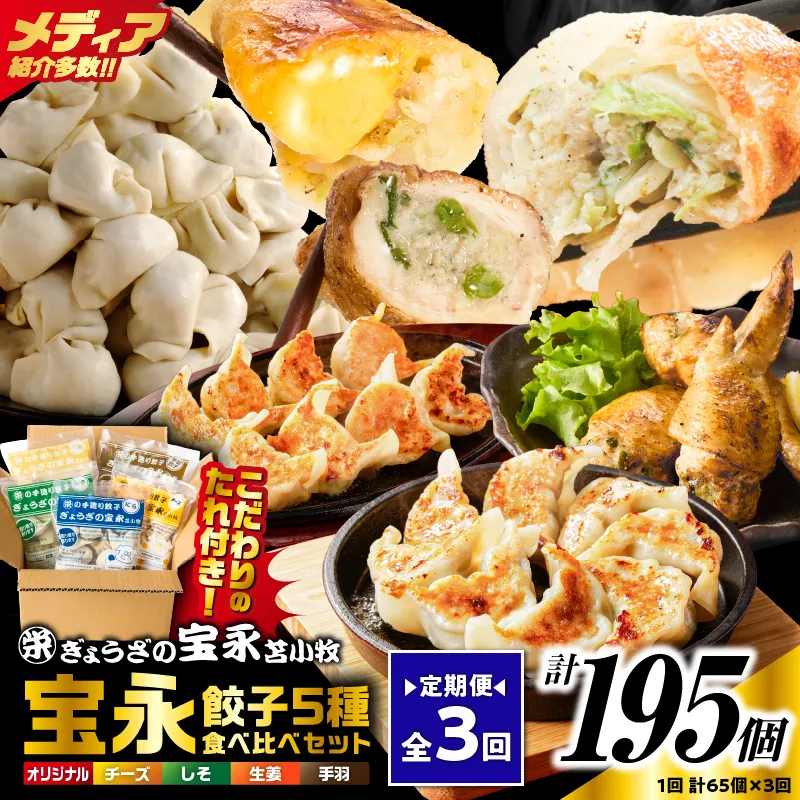【定期便・全3回 毎月】手包み餃子 ぎょうざの宝永 5種食べ比べセット（65個入）