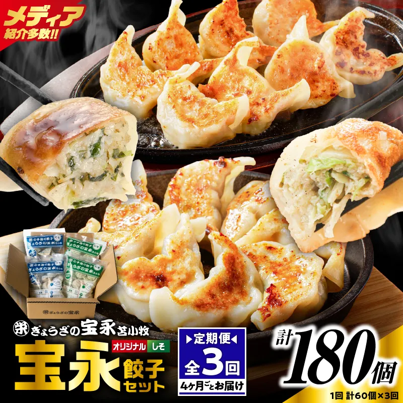 【定期便・全3回 4ヶ月毎】手包み餃子 ぎょうざの宝永 しそ餃子60個セット（宝永餃子15個入×2袋・しそ餃子15個入×2袋）　