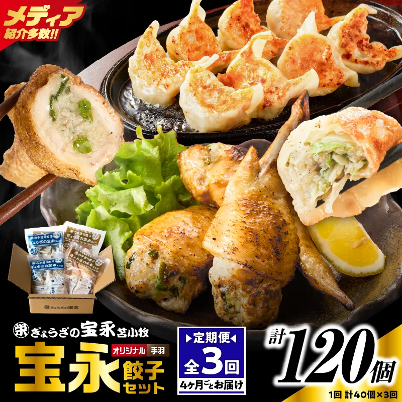 【定期便・全3回 4ヶ月毎】手包み餃子 ぎょうざの宝永 手羽餃子40個セット(宝永餃子15個入×2袋・手羽餃子5個入×2袋)