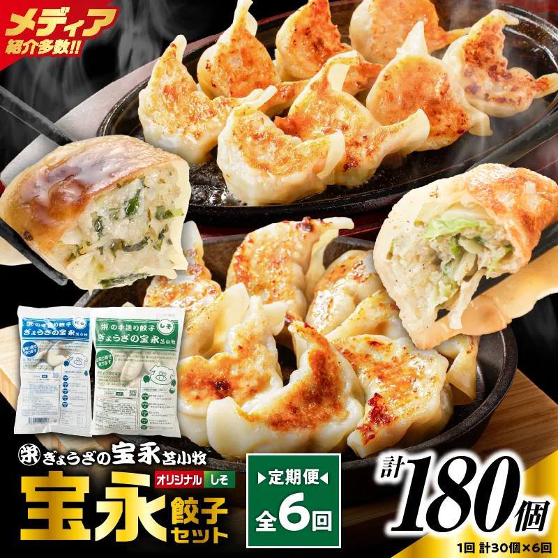 【定期便・全6回 毎月】手包み餃子 ぎょうざの宝永 しそ餃子30個セット（宝永餃子15個入×1袋・しそ餃子15個入×1袋）