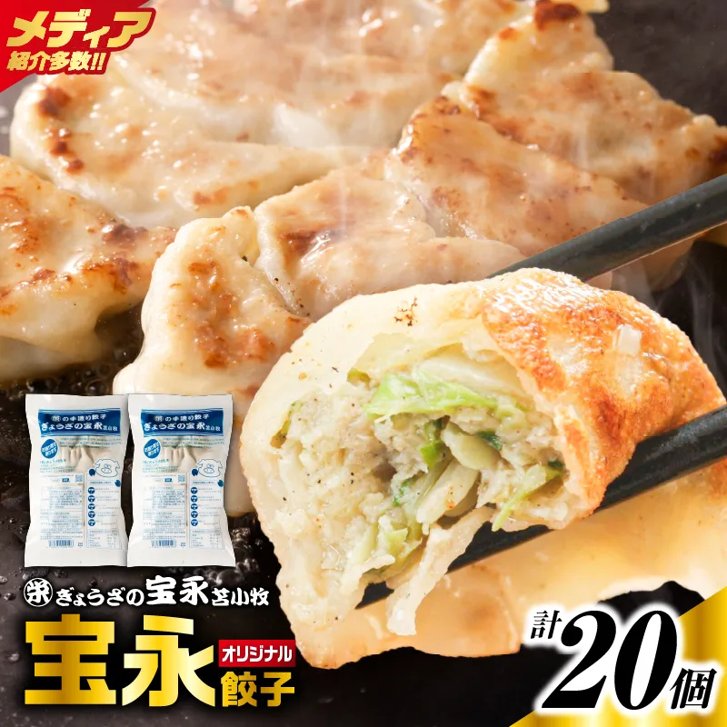 手包み餃子 ぎょうざの宝永 宝永餃子20個セット（宝永餃子10個入×2袋）